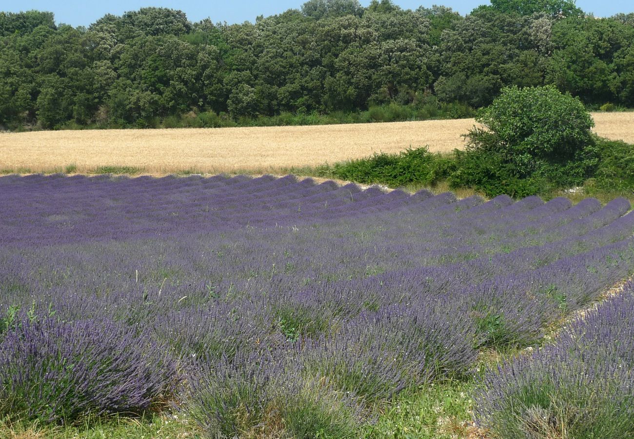Gîte Rural à Clansayes - Gîte de charme au coeur des lavandes - Clansayes, Drôme Provençale avec piscine