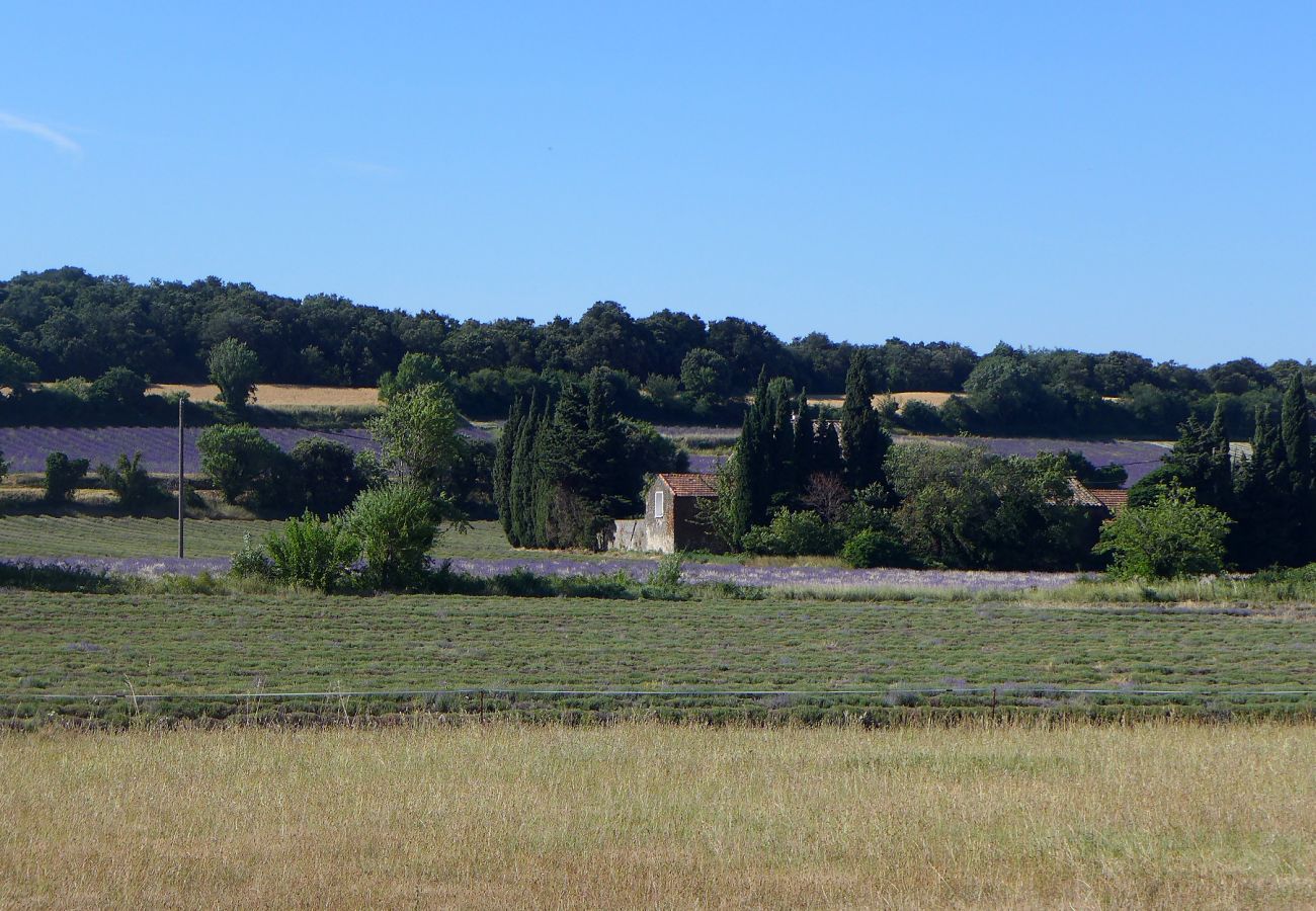 Gîte Rural à Clansayes - Gîte de charme au coeur des lavandes - Clansayes, Drôme Provençale avec piscine