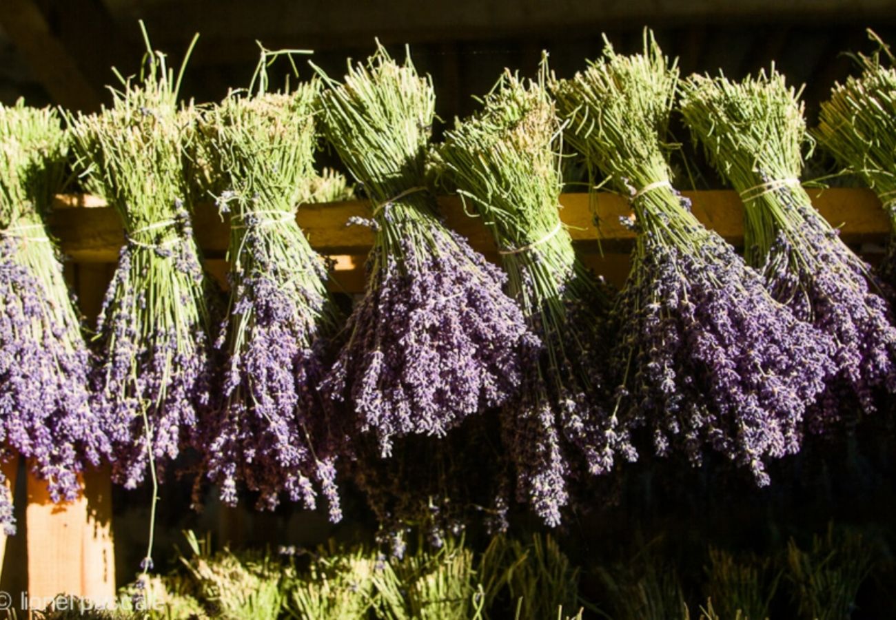 Maison à Clansayes - Maison de caractère avec piscine chauffée privée - Clansayes, Drôme Provençale