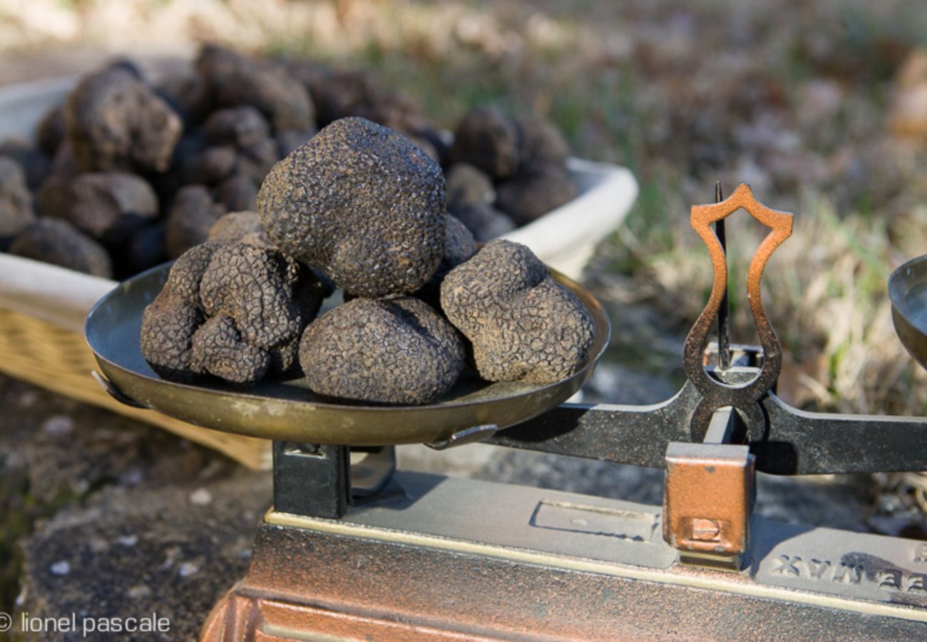 Appartement à Saint-Paul-Trois-Châteaux - Appartement cœur village • Terrasse 50 m²