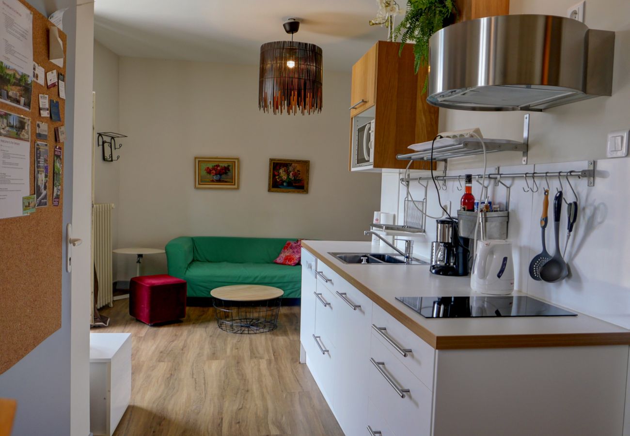 Appartement à Saint-Paul-Trois-Châteaux - Appartement cœur village • Terrasse 50 m²