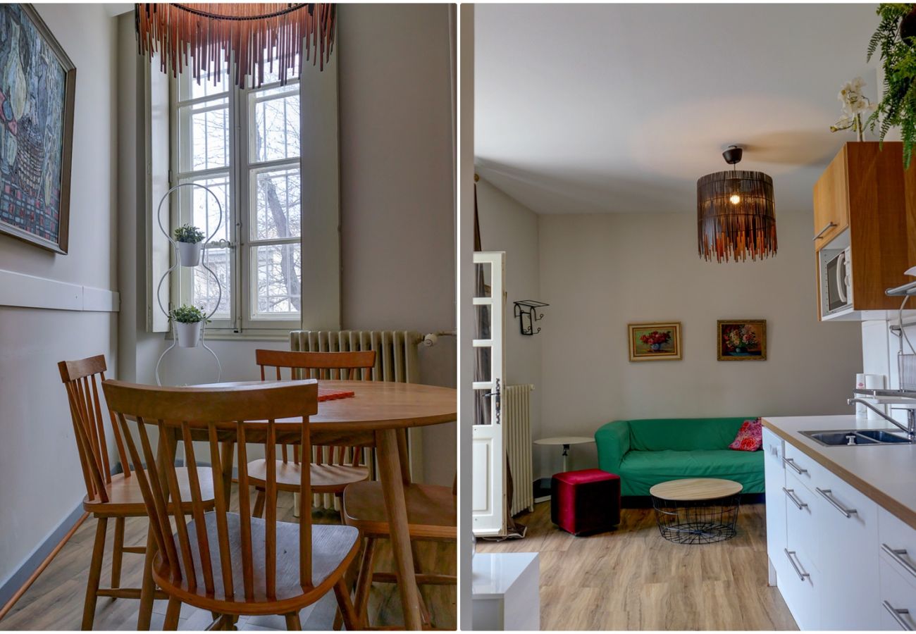 Appartement à Saint-Paul-Trois-Châteaux - Appartement cœur village • Terrasse 50 m²