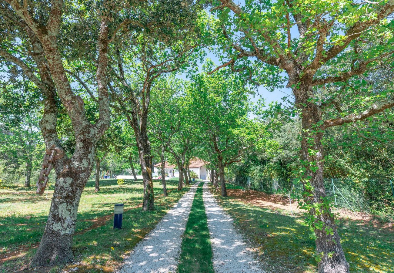 Maison à Colonzelle - Maison familiale avec jardin, piscine & nature – Colonzelle