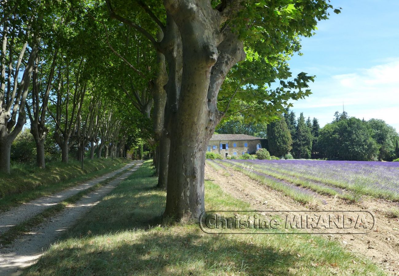 Gîte Rural à Valréas - Gîte de charme en Provence – La Chapelle à Valréas, avec piscine et nature
