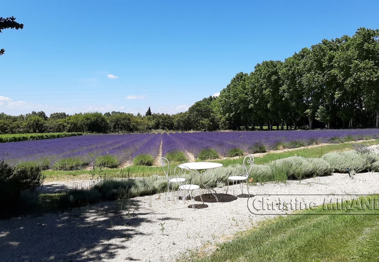 Gîte Rural à Valréas - Gîte de charme en Provence – La Chapelle à Valréas, avec piscine et nature