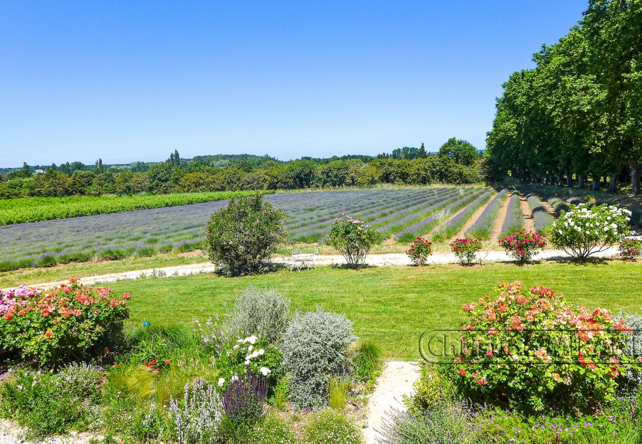 Gîte Rural à Valréas - Gîte de charme en Provence – La Chapelle à Valréas, avec piscine et nature