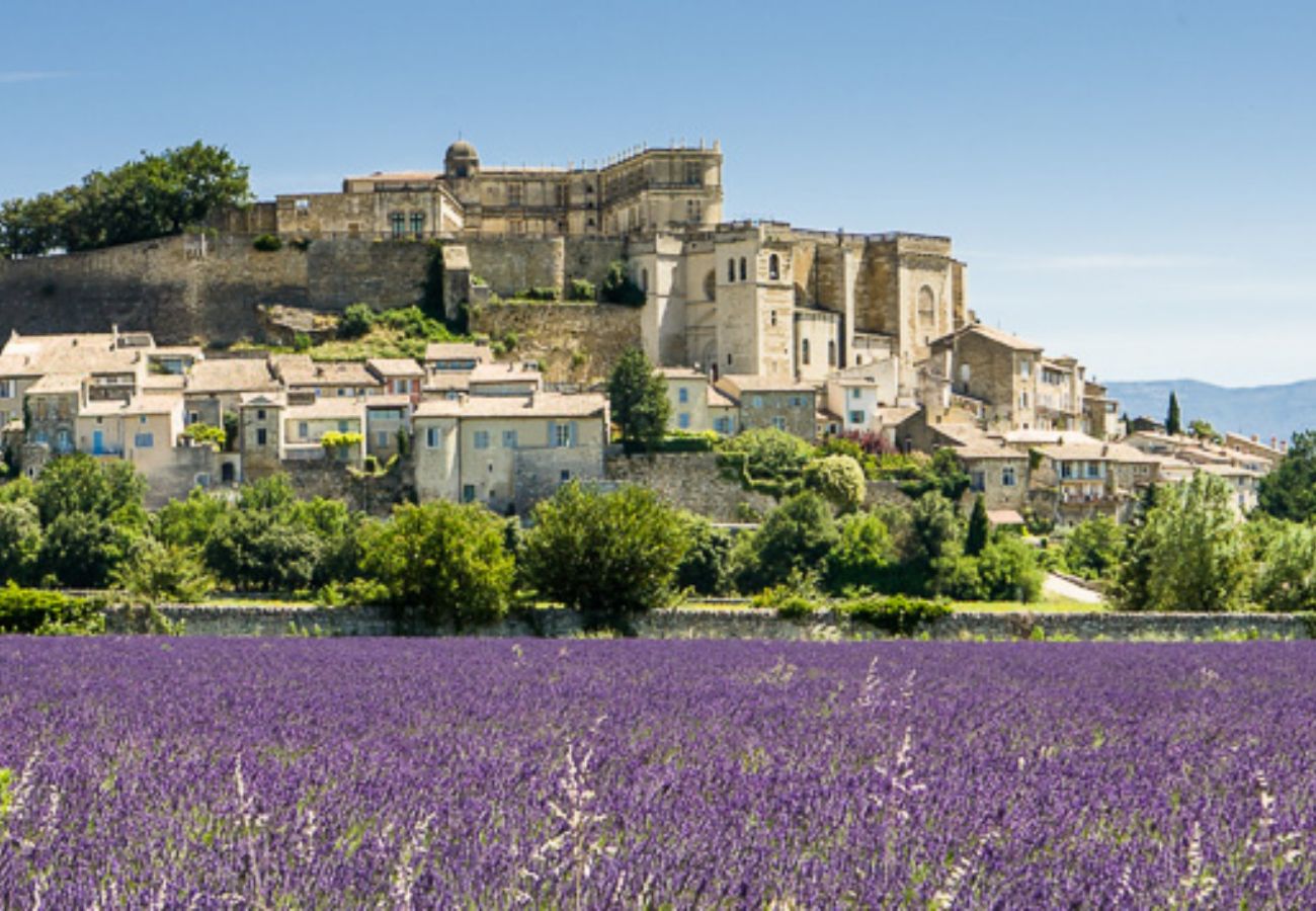 Maison à Chantemerle-lès-Grignan - Maison de caractère en Drôme Provençale, piscine privée