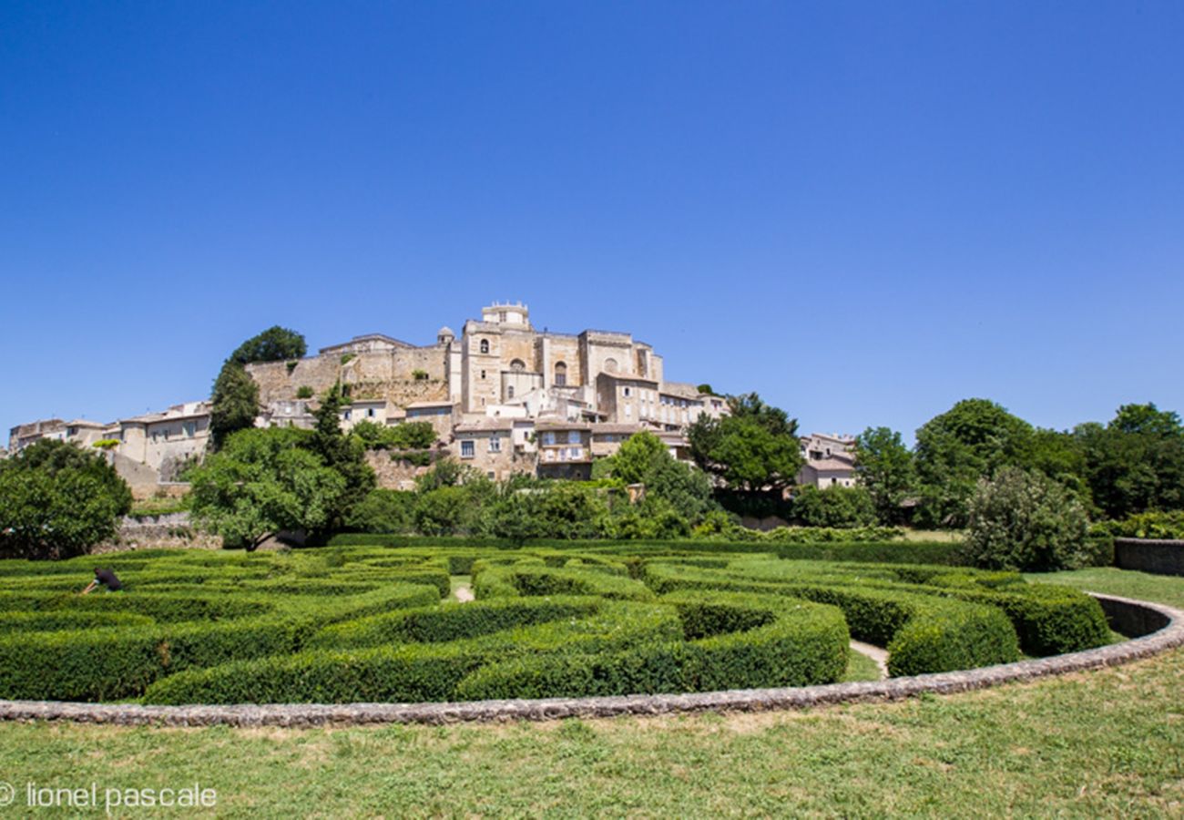 Maison à Chantemerle-lès-Grignan - Maison de caractère en Drôme Provençale, piscine privée