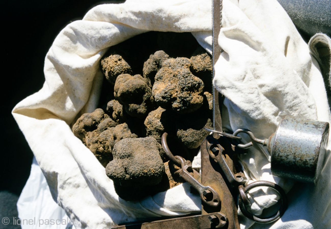 Villa à Suze-la-Rousse - Villa neuve avec piscine privée au coeur du village - 4 pers.