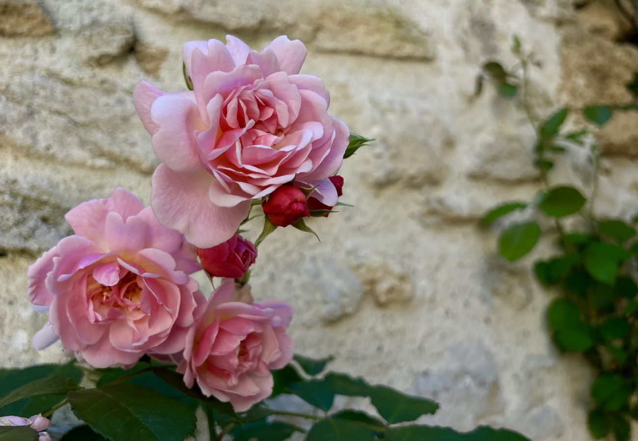 Maison à Grignan - Chez Marie – Maison de village de charme au cœur de Grignan